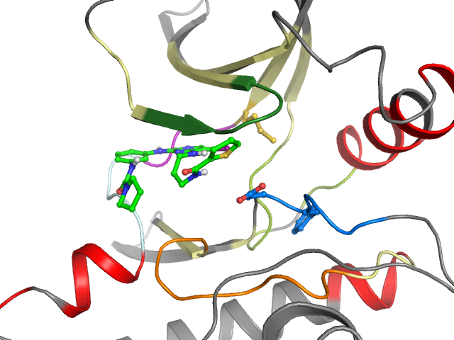The orthosteric binding pocket