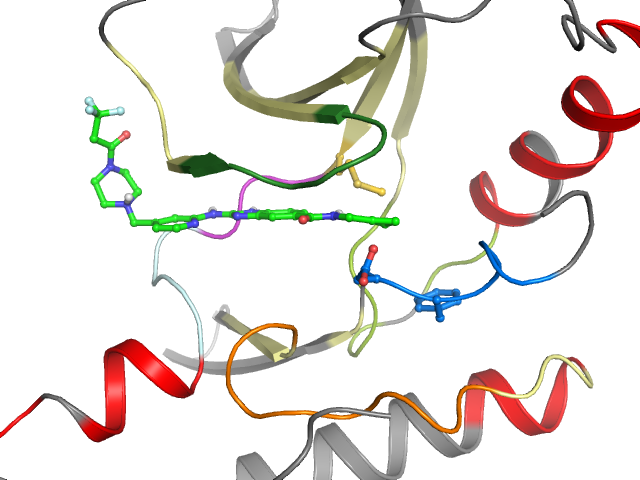The orthosteric binding pocket