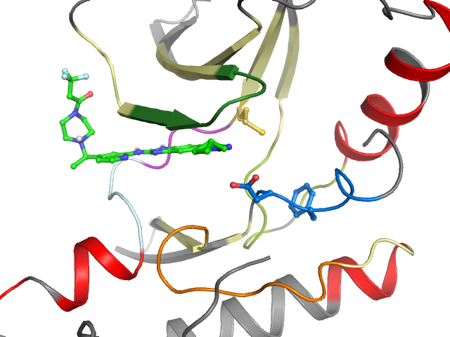 The orthosteric binding pocket