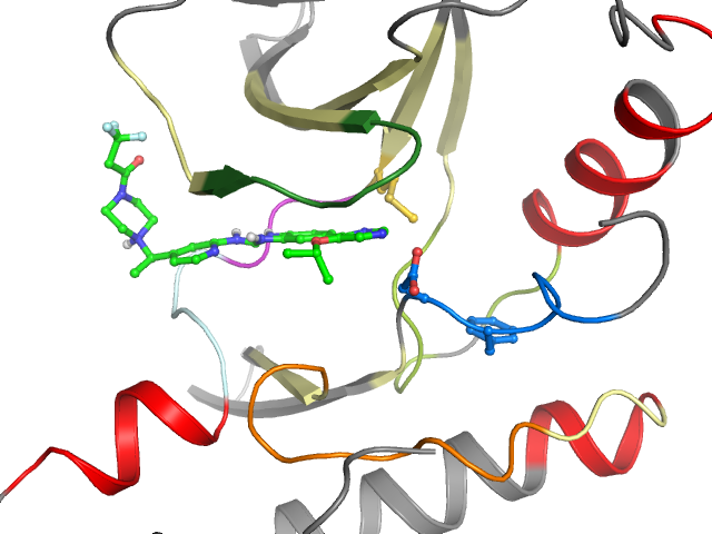 The orthosteric binding pocket
