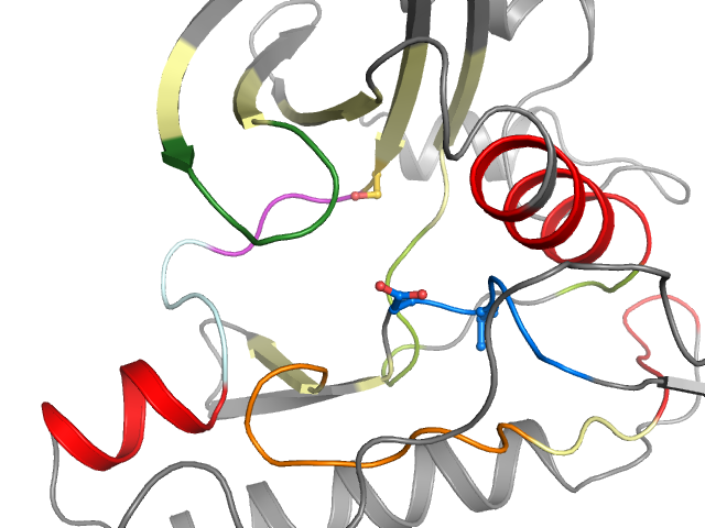 The orthosteric binding pocket