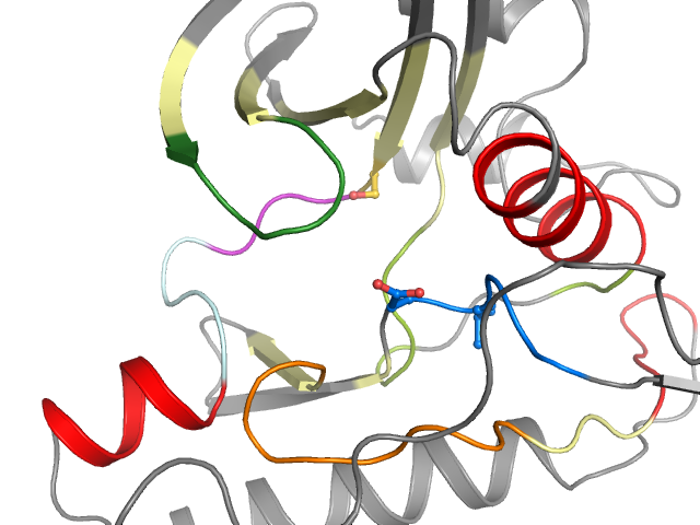 The orthosteric binding pocket