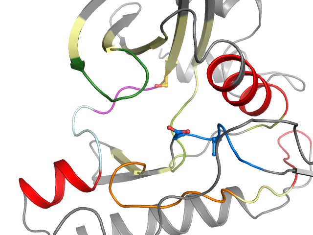 The orthosteric binding pocket