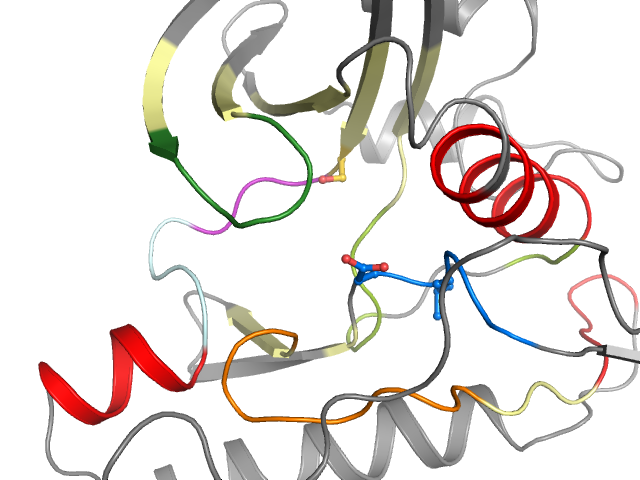 The orthosteric binding pocket