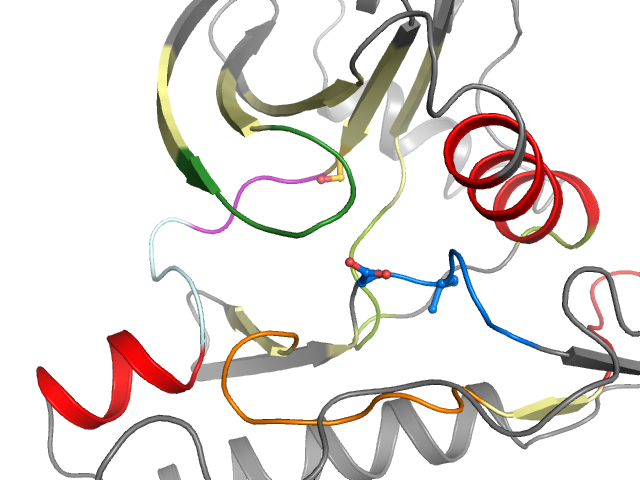 The orthosteric binding pocket
