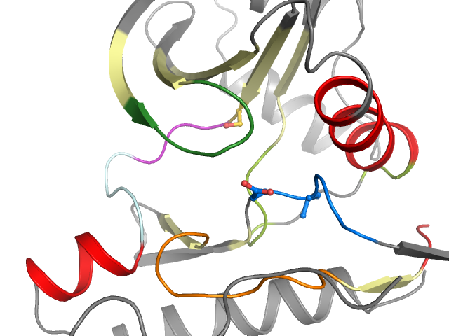 The orthosteric binding pocket