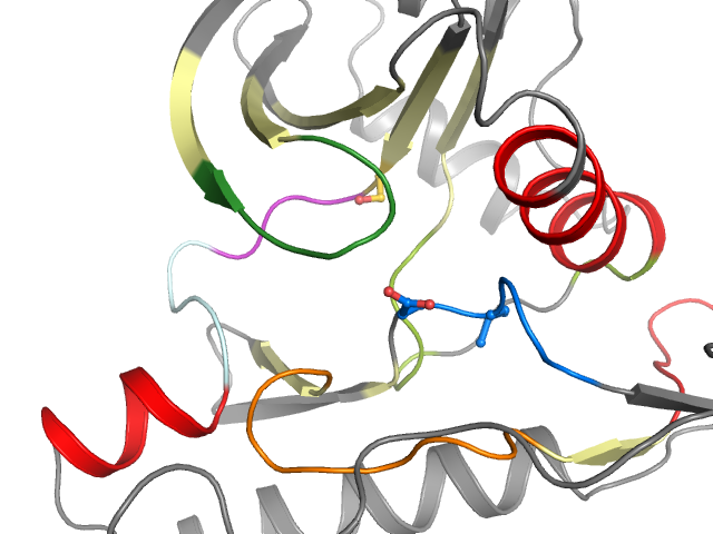 The orthosteric binding pocket
