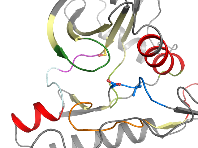 The orthosteric binding pocket