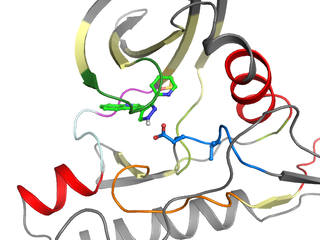 The orthosteric binding pocket