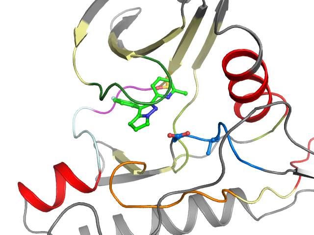 The orthosteric binding pocket