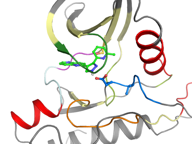 The orthosteric binding pocket