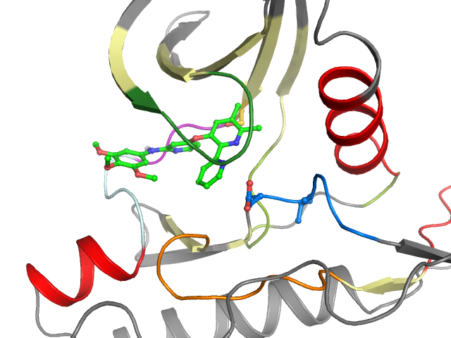 The orthosteric binding pocket