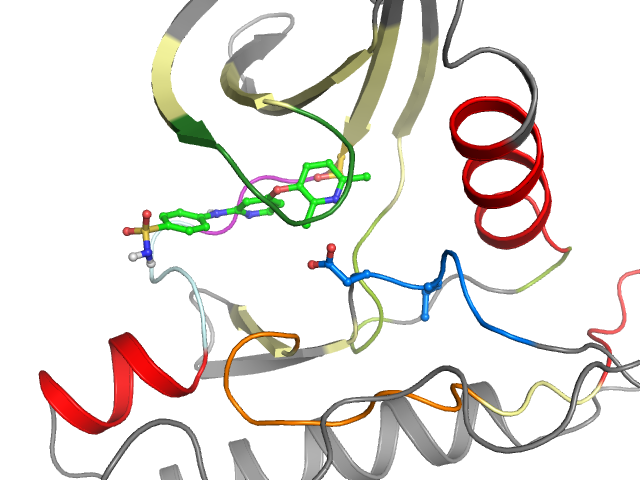 The orthosteric binding pocket