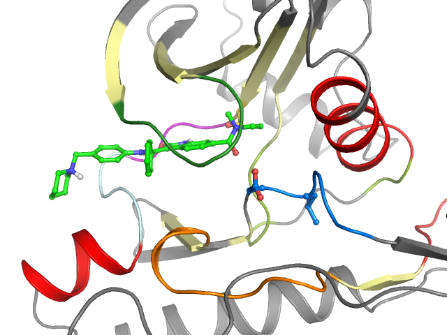 The orthosteric binding pocket