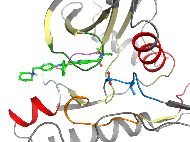 The orthosteric binding pocket