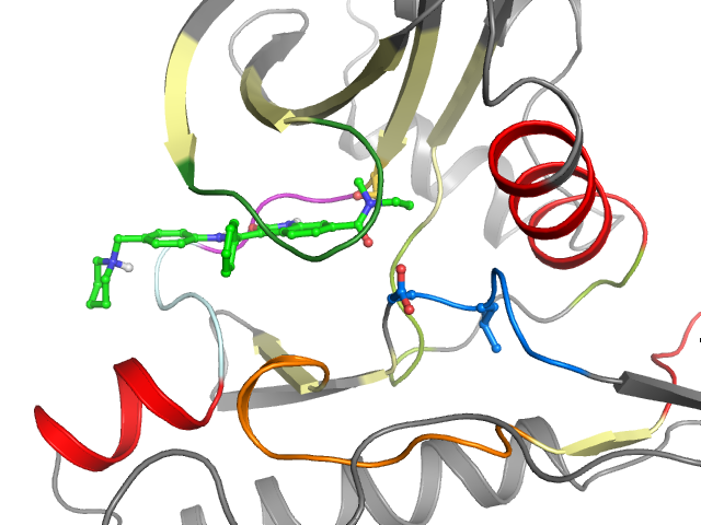 The orthosteric binding pocket