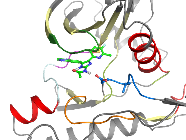 The orthosteric binding pocket