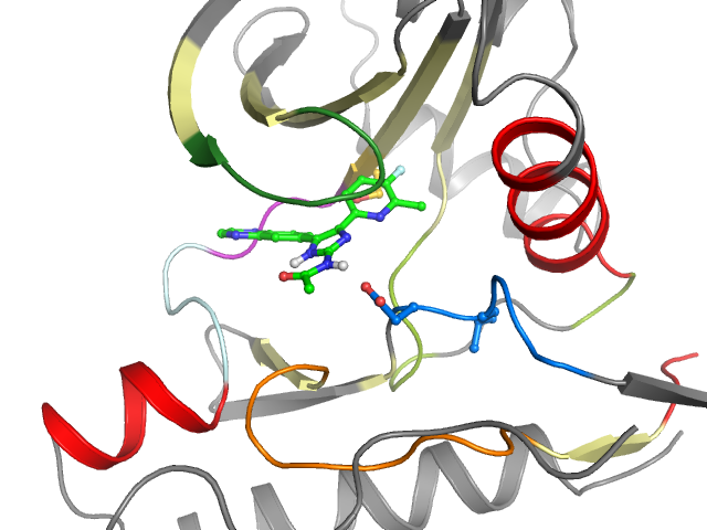 The orthosteric binding pocket