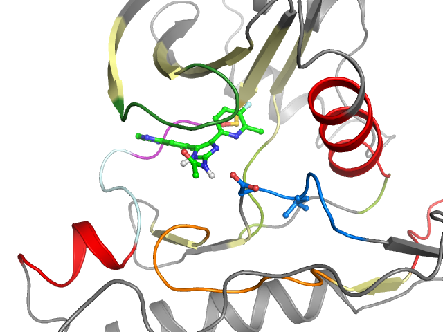 The orthosteric binding pocket
