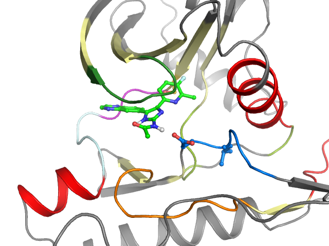 The orthosteric binding pocket