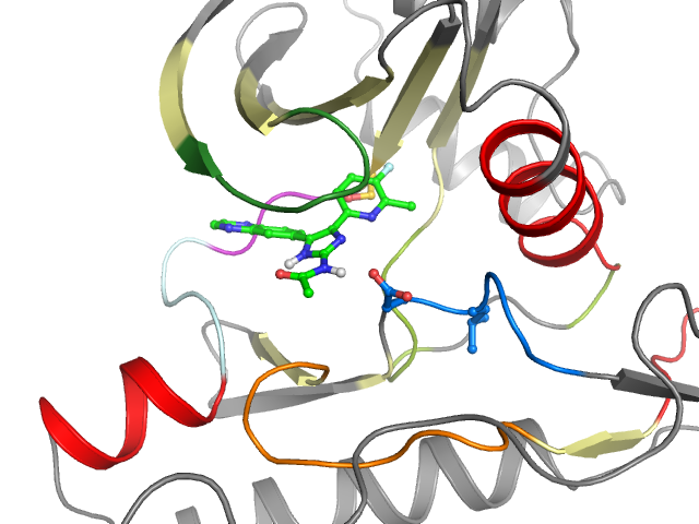 The orthosteric binding pocket