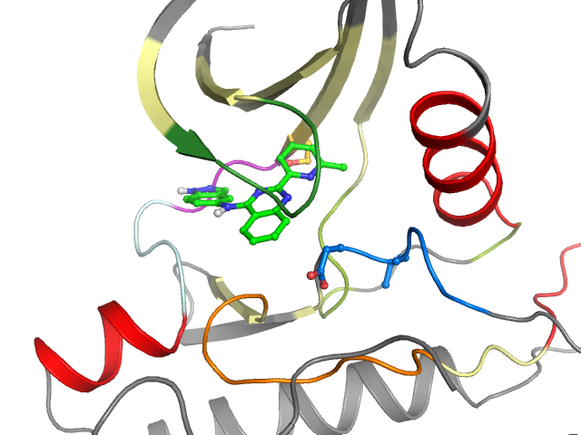 The orthosteric binding pocket