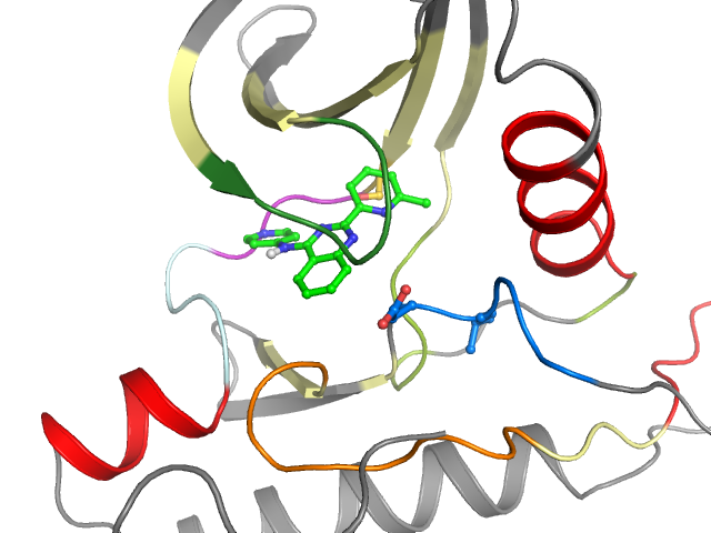 The orthosteric binding pocket