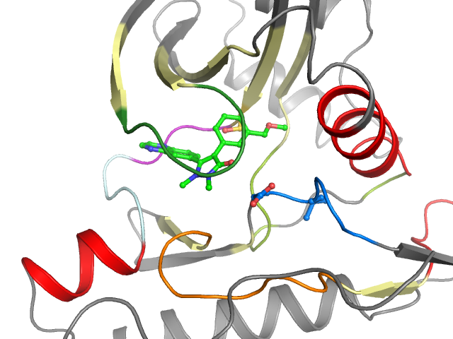 The orthosteric binding pocket