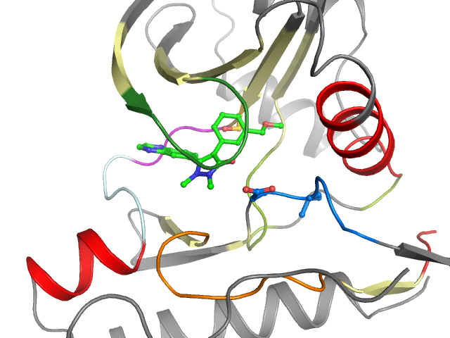 The orthosteric binding pocket