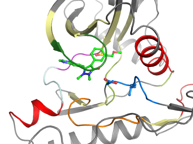 The orthosteric binding pocket