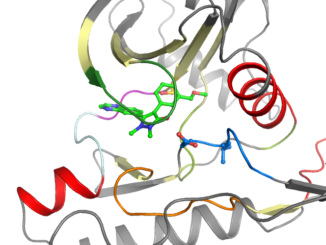 The orthosteric binding pocket