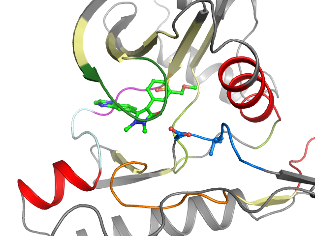 The orthosteric binding pocket