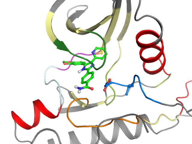 The orthosteric binding pocket