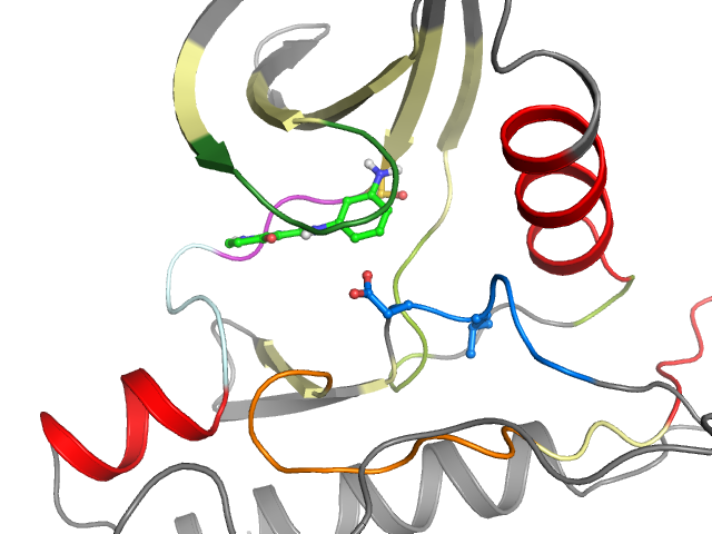 The orthosteric binding pocket