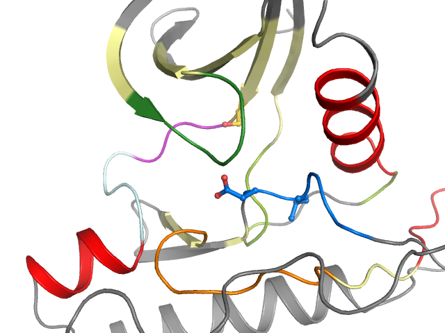The orthosteric binding pocket