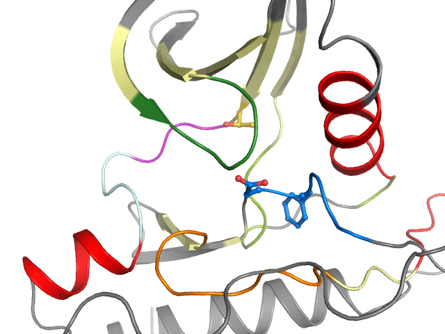 The orthosteric binding pocket