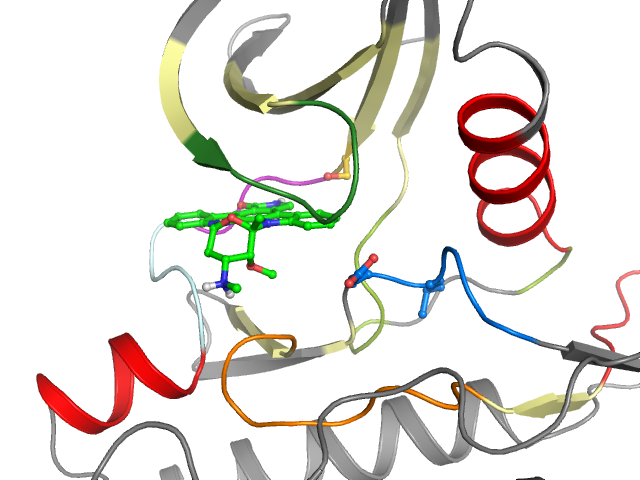 The orthosteric binding pocket