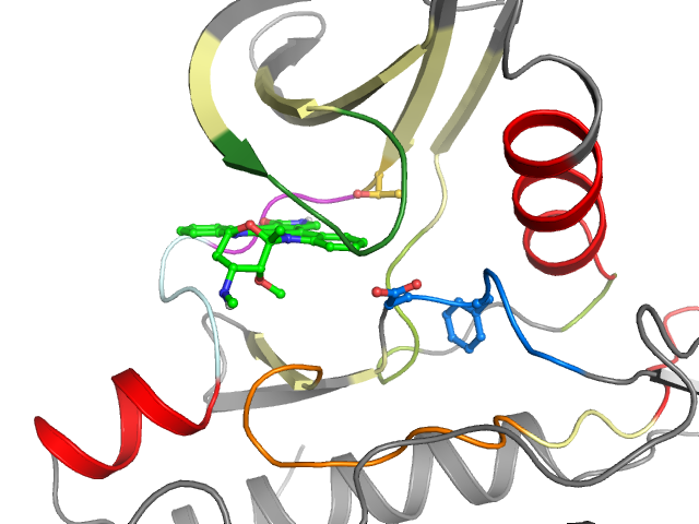The orthosteric binding pocket