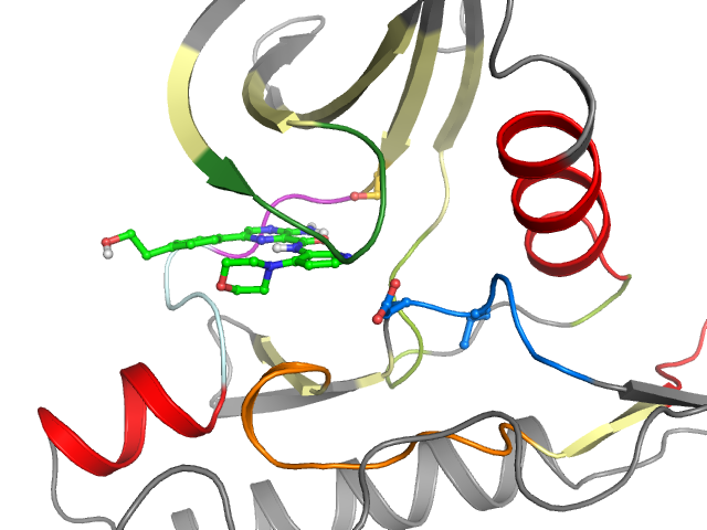 The orthosteric binding pocket