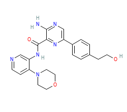 2D structure of the orthosteric ligand