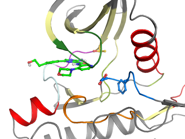 The orthosteric binding pocket