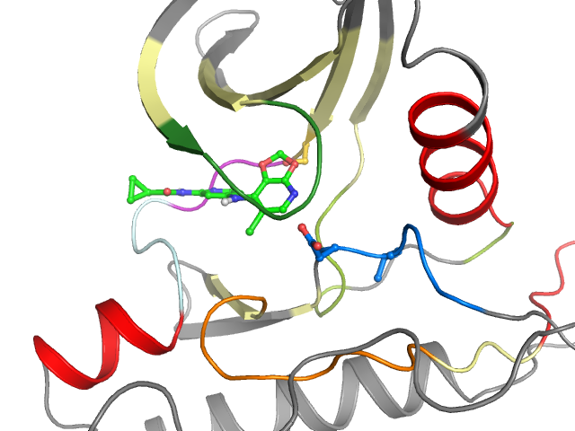 The orthosteric binding pocket