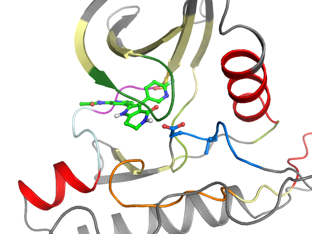 The orthosteric binding pocket