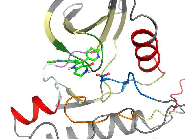 The orthosteric binding pocket