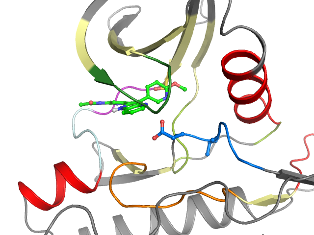 The orthosteric binding pocket