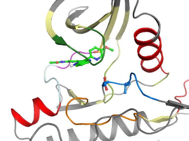 The orthosteric binding pocket
