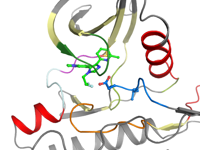 The orthosteric binding pocket