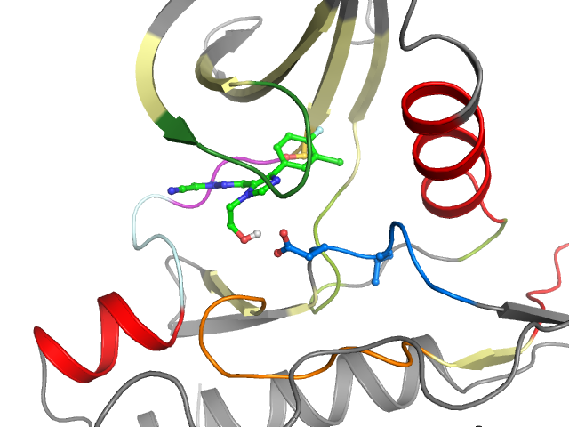 The orthosteric binding pocket