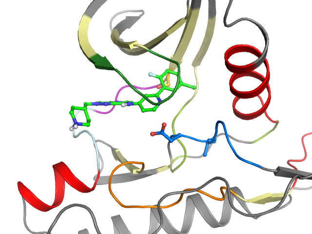 The orthosteric binding pocket