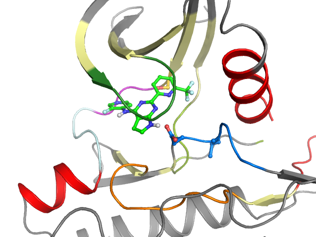 The orthosteric binding pocket